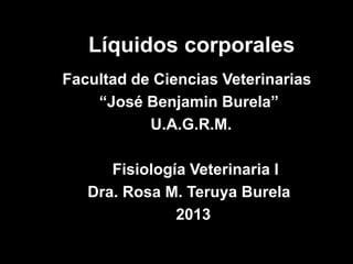 Líquidos corporales
Facultad de Ciencias Veterinarias
“José Benjamin Burela”
U.A.G.R.M.
Fisiología Veterinaria I
Dra. Rosa M. Teruya Burela
2013

 