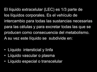 El líquido extracelular (LEC) es 1/3 parte de
los líquidos corporales. Es el vehículo de
intercambio para todas las sustan...