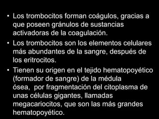 • Los trombocitos forman coágulos, gracias a
  que poseen gránulos de sustancias
  activadoras de la coagulación.
• Los tr...