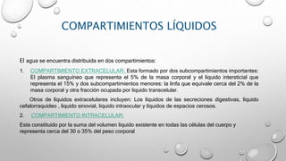 COMPARTIMIENTOS LÍQUIDOS
El agua se encuentra distribuida en dos compartimientos:
1. COMPARTIMIENTO EXTRACELULAR: Esta formado por dos subcompartimientos importantes:
El plasma sanguíneo que representa el 5% de la masa corporal y el liquido intersticial que
representa el 15% y dos subcompartimientos menores: la linfa que equivale cerca del 2% de la
masa corporal y otra fracción ocupada por liquido transcelular.
Otros de líquidos extracelulares incluyen: Los líquidos de las secreciones digestivas, líquido
cefalorraquídeo , liquido sinovial, liquido intraocular y líquidos de espacios cerosos.
2. COMPARTIMIENTO INTRACELULAR:
Esta constituido por la suma del volumen liquido existente en todas las células del cuerpo y
representa cerca del 30 o 35% del peso corporal
 