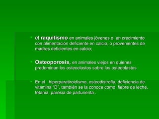 el  raquitismo   en animales jóvenes o  en crecimiento con alimentación deficiente en calcio, o provenientes de madres deficientes en calcio; Osteoporosis,   en animales viejos en quienes predominan los osteoclastos sobre los osteoblastos En el  hiperparatiroidismo, osteodistrofia, deficiencia de vitamina “D”, también se la conoce como  fiebre de leche, tetania, paresia de parturienta .  