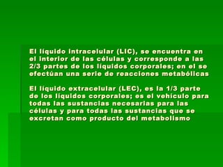 El líquido intracelular (LIC), se encuentra en el interior de las células y corresponde a las 2/3 partes de los líquidos corporales; en el se efectúan una serie de reacciones metabólicas El líquido extracelular (LEC), es la 1/3 parte de los líquidos corporales; es el vehículo para todas las sustancias necesarias para las células y para todas las sustancias que se excretan como producto del metabolismo 