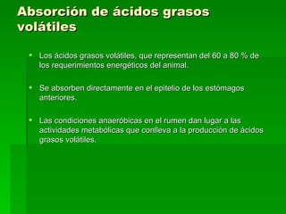 Absorción de ácidos grasos volátiles  Los ácidos grasos volátiles, que representan del 60 a 80 % de los requerimientos energéticos del animal.  Se absorben directamente en el epitelio de los estómagos anteriores.  Las condiciones anaeróbicas en el rumen dan lugar a las actividades metabólicas que conlleva a la producción de ácidos grasos volátiles.  