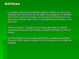 Amilasa La amilasa, denominada también ptialina o tialina, es un enzima hidrolasa que tiene la función de digerir el glucógeno y el almidón para formar azúcares simples, se produce principalmente en las glándulas salivares (sobre todo en las glándulas parótidas) y en el páncreas.  Tiene un pH de 7. Cuando uno de estas glándulas se inflama aumenta la producción de amilasa y aparece elevado su nivel en sangre.  Fue la primera enzima en ser identificada y aislada por Anselme Payen en 1833, quien la bautizó en un principio con el nombre de diastasa. 