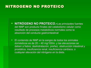 NITROGENO NO PROTEICO NITRÓGENO NO PROTEICO.- Las principales fuentes del NNP son producto finales del catabolismo celular como resultado de procesos metabólicos normales como la absorción del conducto gastrointestinal El contenido de NNP en la sangre de todos los animales domésticos es de 20 – 40 mg/100m. y las elevaciones se deben a fiebre, deshidratación, preñez, obstrucción intestinal y prostática, insuficiencia renal, insuficiencia cardiaca, o cualquier elevación del nitrógeno en la dieta.  