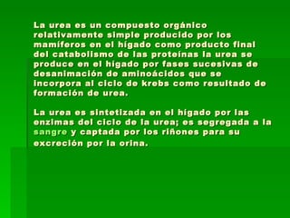 La urea es un compuesto orgánico relativamente simple producido por los mamíferos en el hígado como producto final del catabolismo de las proteínas la urea se produce en el hígado por fases sucesivas de desanimación de aminoácidos que se incorpora al ciclo de krebs como resultado de formación de urea.  La urea es sintetizada en el hígado por las enzimas del ciclo de la urea; es segregada a la  sangre  y captada por los riñones para su excreción por la orina.   