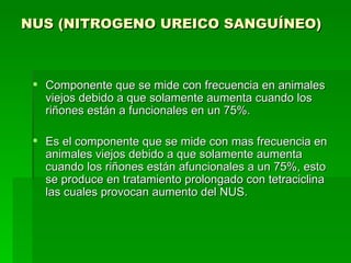 NUS (NITROGENO UREICO SANGUÍNEO) Componente que se mide con frecuencia en animales viejos debido a que solamente aumenta cuando los riñones están a funcionales en un 75%. Es el componente que se mide con mas frecuencia en animales viejos debido a que solamente aumenta cuando los riñones están afuncionales a un 75%, esto se produce en tratamiento prolongado con tetraciclina las cuales provocan aumento del NUS. 