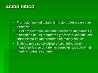 ACIDO URICO Producto final del catabolismo de proteínas en aves y reptiles.  Es el producto final del catabolismo de las purinas y pirimidinas de los mamíferos y del producto final del catabolismo de las proteínas en aves y reptiles.  El ácido úrico se convierte en alantoína en el hígado en la mayoría de las especies excepto en el hombre, primates y perro  