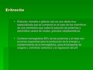 Eritrocito Eritrocito, hematíe o glóbulo rojo es una célula muy especializada que se compone en el caso de los mamíferos de una membrana que rodea la solución de proteínas y electrolitos carece de núcleo, gránulos citoplasmáticos.  Contiene hemoglobina 95% de las proteínas y el resto son enzimas requeridas para la producción de la energía y mantenimiento de la hemoglobina, para el transporte de oxígeno y anhídrido carbónico y la regulación del pH. 