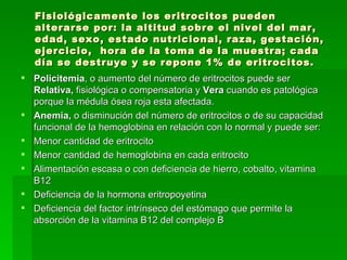 Fisiológicamente los eritrocitos pueden alterarse por: la altitud sobre el nivel del mar, edad, sexo, estado nutricional, raza, gestación, ejercicio,  hora de la toma de la muestra; cada día se destruye y se repone 1% de eritrocitos.  Policitemia , o aumento del número de eritrocitos puede ser  Relativa,  fisiológica o compensatoria y  Vera  cuando es patológica porque la médula ósea roja esta afectada. Anemia,  o disminución del número de eritrocitos o de su capacidad funcional de la hemoglobina en relación con lo normal y puede ser: Menor cantidad de eritrocito Menor cantidad de hemoglobina en cada eritrocito Alimentación escasa o con deficiencia de hierro, cobalto, vitamina B12 Deficiencia de la hormona eritropoyetina Deficiencia del factor intrínseco del estómago que permite la absorción de la vitamina B12 del complejo B  