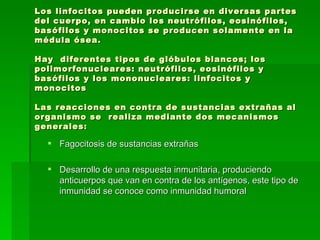 Los linfocitos pueden producirse en diversas partes del cuerpo, en cambio los neutrófilos, eosinófilos, basófilos y monocitos se producen solamente en la médula ósea. Hay  diferentes tipos de glóbulos blancos; los polimorfonucleares: neutrófilos, eosinófilos y basófilos y los mononucleares: linfocitos y monocitos Las reacciones en contra de sustancias extrañas al organismo se  realiza mediante dos mecanismos generales:   Fagocitosis de sustancias extrañas Desarrollo de una respuesta inmunitaria, produciendo anticuerpos que van en contra de los antígenos, este tipo de inmunidad se conoce como inmunidad humoral 