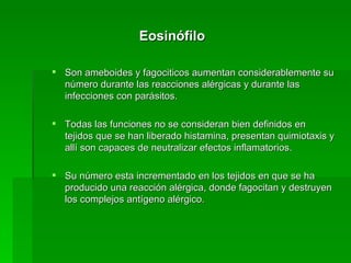 Eosinófilo Son ameboides y fagociticos aumentan considerablemente su número durante las reacciones alérgicas y durante las infecciones con parásitos.  Todas las funciones no se consideran bien definidos en tejidos que se han liberado histamina, presentan quimiotaxis y allí son capaces de neutralizar efectos inflamatorios.  Su número esta incrementado en los tejidos en que se ha producido una reacción alérgica, donde fagocitan y destruyen los complejos antígeno alérgico.  