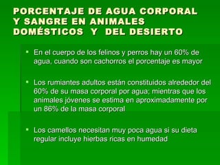 PORCENTAJE DE AGUA CORPORAL Y SANGRE EN ANIMALES DOMÉSTICOS  Y  DEL DESIERTO   En el cuerpo de los felinos y perros hay un 60% de agua, cuando son cachorros el porcentaje es mayor  Los rumiantes adultos están constituidos alrededor del 60% de su masa corporal por agua; mientras que los animales jóvenes se estima en aproximadamente por un 86% de la masa corporal Los camellos necesitan muy poca agua si su dieta regular incluye hierbas ricas en humedad  