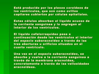 Está producido por los plexos coroideos de los ventrículos, que son como ovillos capilares cubiertos por células epiteliales.  Estas células absorben el líquido acuoso de la corriente sanguínea y lo segregan al interior de los ventrículos.  El líquido cefalorraquídeo pasa a continuación desde los ventrículos al interior del espacio subaracnoideo a través de las tres aberturas u orificios situados en el cuarto ventrículo.  Una vez en el espacio subaracnoideo, se absorbe y vuelve a la corriente sanguínea a través de la membrana aracnoidea, concretamente a través de las vellosidades aracnoideas.  