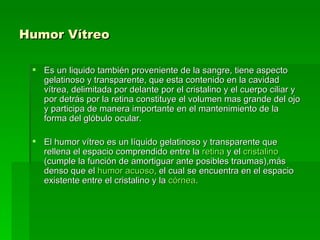 Humor Vítreo   Es un liquido también proveniente de la sangre, tiene aspecto gelatinoso y transparente, que esta contenido en la cavidad vítrea, delimitada por delante por el cristalino y el cuerpo ciliar y por detrás por la retina constituye el volumen mas grande del ojo y participa de manera importante en el mantenimiento de la forma del glóbulo ocular.  El humor vítreo es un líquido gelatinoso y transparente que rellena el espacio comprendido entre la  retina  y el  cristalino  (cumple la función de amortiguar ante posibles traumas),más denso que el  humor acuoso , el cual se encuentra en el espacio existente entre el cristalino y la  córnea .  