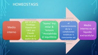 HOMEOSTASIS
Medio
interno
Introducido
por el gran
fisiólogo
francés en
1865 por
Claude
Bernard el
padre de la
fisiología
Proviene de
“homo”si
milar &
“estasis
”estabilida
d/equilibrio
.
Se emplea
para designar
el
mantenimiento
de la s
condiciones
estáticas o
constantes en
el medio
interno.
Medio
interno es el
liquido
extracelular.
 