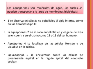 Las aquaporinas son moléculas de agua, las cuales se
pueden transportar a lo largo de membranas biológicas:
• 1 se observa en células no epiteliales el oído interno, como
en los fibrocitos tipo III:
• la aquaporinas 2 en el saco endolinfático y el gene de esta
se encuentra en el cromosoma 12 o 13 del ser humano.
• Aquaporina 4 se localizan en las células Hensen y de
Claudius en la cóclea.
•

aquaporinas 5 se encuentran sobre las células de
prominencia espiral en la región apical del conducto
coclear.

 