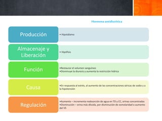 • HipotálamoProducción
• Hipófisis
Almacenaje y
Liberación
•Restaurar el volumen sanguíneo
•Disminuye la diuresis y aumenta la restricción hídricaFunción
•En respuesta al estrés, al aumento de las concentraciones séricas de sodio y a
la hipotensiónCausa
•Aumento – incrementa reabsorción de agua en TD y CC, orinas concentradas
•Disminución – orina más diluida, por disminución de osmolaridad o aumento
del VS
Regulación
Hormona antidiurética
 