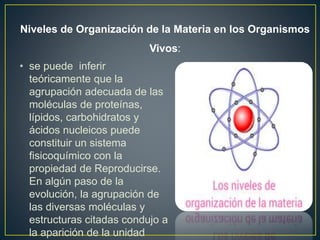 • se puede inferir
teóricamente que la
agrupación adecuada de las
moléculas de proteínas,
lípidos, carbohidratos y
ácidos nucleicos puede
constituir un sistema
fisicoquímico con la
propiedad de Reproducirse.
En algún paso de la
evolución, la agrupación de
las diversas moléculas y
estructuras citadas condujo a
la aparición de la unidad
Niveles de Organización de la Materia en los Organismos
Vivos:
 
