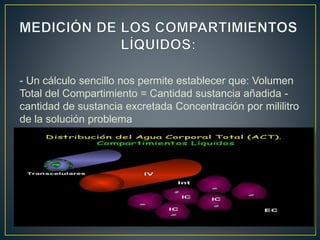 - Un cálculo sencillo nos permite establecer que: Volumen
Total del Compartimiento = Cantidad sustancia añadida -
cantidad de sustancia excretada Concentración por mililitro
de la solución problema
 