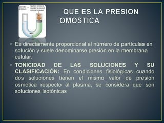 • Es directamente proporcional al número de partículas en
solución y suele denominarse presión en la membrana
celular.
• TONICIDAD DE LAS SOLUCIONES Y SU
CLASIFICACIÓN: En condiciones fisiológicas cuando
dos soluciones tienen el mismo valor de presión
osmótica respecto al plasma, se considera que son
soluciones isotónicas
 