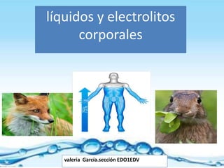 líquidos y electrolitos
corporales
valeria García.sección EDO1EDV
 