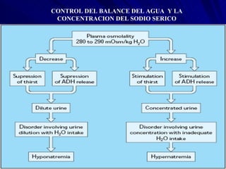 CONTROL DEL BALANCE DEL AGUA  Y LA CONCENTRACION DEL SODIO SERICO 