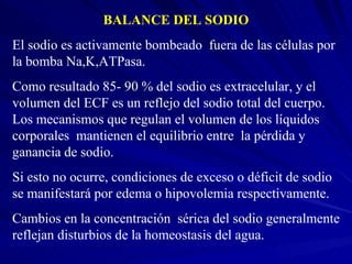 BALANCE DEL SODIO El sodio es activamente bombeado  fuera de las células por la bomba Na,K,ATPasa.  Como resultado 85- 90 % del sodio es extracelular, y el volumen del ECF es un reflejo del sodio total del cuerpo. Los mecanismos que regulan el volumen de los líquidos corporales  mantienen el equilibrio entre  la pérdida y ganancia de sodio.  Si esto no ocurre, condiciones de exceso o déficit de sodio se manifestará por edema o hipovolemia respectivamente. Cambios en la concentración  sérica del sodio generalmente reflejan disturbios de la homeostasis del agua. 