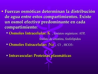 Fuerzas osmóticas determinan la distribución de agua entre estos compartimientos. Existe un osmol efectivo predominante en cada compartimiento: Osmoles Intracelular:  K   , fostatos orgánicos: ATP,  fosfato de creatina, fosfolípidos   Osmoles Extracelular:  Na + ,   Cl -  , HCO3-   Intravascular: Proteínas plasmáticas 