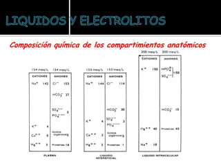 Composición química de los compartimientos anatómicos
 