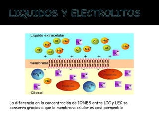 La diferencia en la concentración de IONES entre LIC y LEC se
conserva gracias a que la membrana celular es casi permeable
 