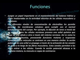 Funciones
• Juegan un papel importante en el mantenimiento del balance hídrico y
están involucrados en la actividad eléctrica de las células musculares y
nerviosas.
• Los diferentes niveles de concentración de electrolitos les permite
penetrar las membranas celulares para cumplir con el normal
funcionamiento del cuerpo. Por ejemplo, la difusión de iones a través de
un espacio entre las células nerviosas provoca una señal química que
fluye de una célula a otra a través del sistema nervioso. Así es como tu
cuerpo se comunica, provocando funciones motoras y respuestas
sensoriales. Los músculos se contraen en una manera similar: la acción
potencial de una señal se propaga a través de la activación de los canales
de sodio a lo largo de las fibras musculares. Estos canales permiten a los
iones entrar a las células. Cuando la acción potencial alcanza a la
neurona motora, tu músculo es capaz de contraerse.

 