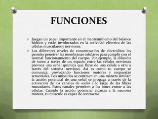 FUNCIONES
O Juegan un papel importante en el mantenimiento del balance

hídrico y están involucrados en la actividad eléctrica de las
células musculares y nerviosas.
O Los diferentes niveles de concentración de electrolitos les
permite penetrar las membranas celulares para cumplir con el
normal funcionamiento del cuerpo. Por ejemplo, la difusión
de iones a través de un espacio entre las células nerviosas
provoca una señal química que fluye de una célula a otra a
través del sistema nervioso. Así es como tu cuerpo se
comunica, provocando funciones motoras y respuestas
sensoriales. Los músculos se contraen en una manera similar:
la acción potencial de una señal se propaga a través de la
activación de los canales de sodio a lo largo de las fibras
musculares. Estos canales permiten a los iones entrar a las
células. Cuando la acción potencial alcanza a la neurona
motora, tu músculo es capaz de contraerse.

 