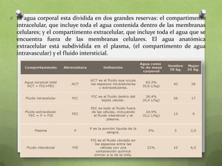 O El agua corporal esta dividida en dos grandes reservas: el compartimento

intracelular, que incluye toda el agua contenida dentro de las membranas
celulares; y el compartimento extracelular, que incluye toda el agua que se
encuentra fuera de las membranas celulares. El agua anatómica
extracelular está subdividida en el plasma, (el compartimento de agua
intravascular) y el fluido intersticial.

 