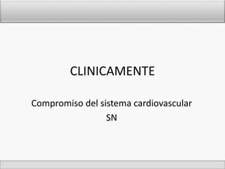 CLINICAMENTE 
Compromiso del sistema cardiovascular 
SN 
 