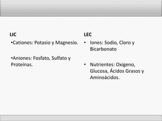 LIC 
•Cationes: Potasio y Magnesio. 
•Aniones: Fosfato, Sulfato y 
Proteínas. 
LEC 
• Iones: Sodio, Cloro y 
Bicarbonato 
• Nutrientes: Oxigeno, 
Glucosa, Ácidos Grasos y 
Aminoácidos. 
 