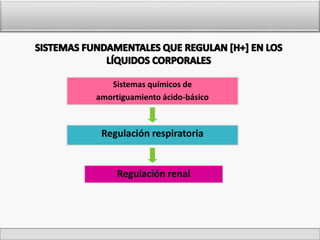 Sistemas químicos de 
amortiguamiento ácido-básico 
Regulación respiratoria 
Regulación renal 
 