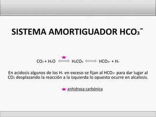 SISTEMA AMORTIGUADOR HCO3ˉ 
CO2 + H2O H2CO3 HCO3- + H+ 
En acidosis algunos de los H+ en exceso se fijan al HCO3- para dar lugar al 
CO2 desplazando la reacción a la izquierda lo opuesto ocurre en alcalosis. 
anhidrasa carbónica 
 