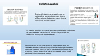 PRESIÓN OSMÓTICA
Puede definirse como la presión que se
debe aplicar a una solución para detener
el flujo neto de disolvente a través de una
membrana semipermeable.
La presión osmótica es una de las cuatro propiedades coligativas
de las soluciones (dependen del número de partículas en
disolución, sin importar su naturaleza).
Se trata de una de las características principales a tener en
cuenta en las relaciones de los líquidos que constituyen el medio
interno de los seres vivos, ya que la membrana plasmática regula
la entrada y salida de soluto al medio extracelular que la rodea,
ejerciendo como barrera de control.
 