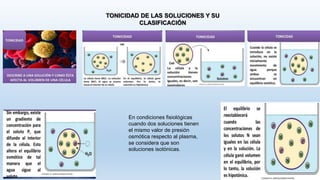 TONICIDAD DE LAS SOLUCIONES Y SU
CLASIFICACIÓN
En condiciones fisiológicas
cuando dos soluciones tienen
el mismo valor de presión
osmótica respecto al plasma,
se considera que son
soluciones isotónicas.
 