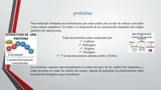 proteínas
Son moléculas formadas por aminoácidos que están unidos por un tipo de enlaces conocidos
como enlaces peptídicos. El orden y la disposición de los aminoácidos dependen del código
genético de cada persona.
Todas las proteínas están compuestas por:
 Carbono
 Hidrógeno
 Oxígeno
 Nitrógeno
 Y la mayoría contiene además azufre y fósforo.
Las proteínas suponen aproximadamente la mitad del peso de los tejidos del organismo, y
están presentes en todas las células del cuerpo, además de participar en prácticamente todos
los procesos biológicos que se producen.
 