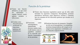 Función de la proteínas
 Tienen una función
defensiva, ya que crean
los anticuerpos y
regulan factores contra
agentes extraños o
infecciones.
 Tienen otras funciones reguladoras puesto que de ellas están
formados los siguientes compuestos: Hemoglobina, proteínas
plasmáticas, hormonas, jugos digestivos, enzimas y vitaminas
que son causantes de las reacciones químicas que suceden en el
organismo.
 Actúan como
biocatalizadores
acelerando las
reacciones
químicas del
metabolismo.
 Funcionan como
amortiguadores,
manteniendo en
diversos medios tanto
el pH interno como el
equilibrio osmótico.
Es la conocida como
función homeostática
de las proteínas.
 Realizan funciones de transporte. Ejemplos
de ello son la hemoglobina y la mioglobina,
proteínas transportadoras del oxígeno en la
sangre en los organismos vertebrados y en
los músculos respectivamente.
 