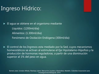 Ingreso Hídrico:
 El agua se obtiene en el organismo mediante
Líquidos: (1200ml/dia)
Alimentos: (1.300ml/dia)
Fenómeno de Oxidación Endógena (300ml/dia)
 El control de los Ingresos esta mediado por la Sed, cuyos mecanismos
homeostáticos se activan al estimularse el Eje Hipotalamo-Hipofisis y la
producción de hormonas reguladoras, a partir de una disminución
superior al 1% del peso en agua.
Borrero José, Constan Alfredo, Restrepo Jaime. Manual de Líquidos y Electrolitos; Medellín, Colombia Corporación para
Investigaciones Biológicas. 2010
 
