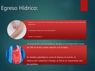 Egreso Hídrico:
Dependen de la concentración atmosférica de vapor de agua, el ejercicio físico y los cambios en la
temperatura
La eliminación diaria suele ser de 400 a 800 Ml
Febriles: 0,2 mL/kg/h/°C
La evacuación con las materias fecales es normalmente menor
de 200 ml al día y tiene relación con la dieta.
En estados patológicos como la diarrea, el vomito, la
obstrucción intestinal o fistulas, el TGI es un importante sitio
de perdidas.
 