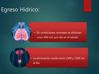 Egreso Hidrico:
• En condiciones normales se eliminan
unos 400 m/L por día en el adulto
• La eliminación oscila entre 1200 y 1500 mL
al dia.
 