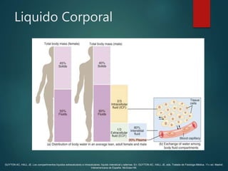 Liquido Corporal
GUYTON AC, HALL JE. Los compartimentos líquidos extracelulares e intracelulares; líquido intersticial y edemas. En: GUYTON AC, HALL JE, eds. Tratado de Fisióloga Médica. 11» ed. Madrid:
Interamericana de España- McGraw-Hill.
 