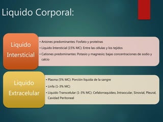 Liquido Corporal:
• Aniones predominantes: Fosfato y proteínas
• Liquido Intersticial (15% MC): Entre las células y los tejidos
• Cationes predominantes: Potasio y magnesio; bajas concentraciones de sodio y
calcio
Liquido
Intersticial
• Plasma (5% MC): Porción liquida de la sangre
• Linfa (1-3% MC)
• Líquido Transcelular (1-3% MC): Cefalorraquídeo, Intraocular, Sinovial, Pleural,
Cavidad Peritoneal
Liquido
Extracelular
 