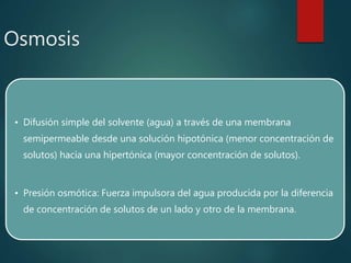 Osmosis
• Difusión simple del solvente (agua) a través de una membrana
semipermeable desde una solución hipotónica (menor concentración de
solutos) hacia una hipertónica (mayor concentración de solutos).
• Presión osmótica: Fuerza impulsora del agua producida por la diferencia
de concentración de solutos de un lado y otro de la membrana.
 