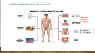 600ml en
perdidas
insensible
s
 