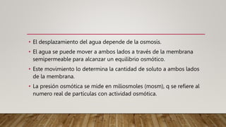 • El desplazamiento del agua depende de la osmosis.
• El agua se puede mover a ambos lados a través de la membrana
semipermeable para alcanzar un equilibrio osmótico.
• Este movimiento lo determina la cantidad de soluto a ambos lados
de la membrana.
• La presión osmótica se mide en miliosmoles (mosm), q se refiere al
numero real de partículas con actividad osmótica.
 